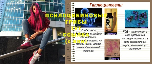 тгк Беломорск