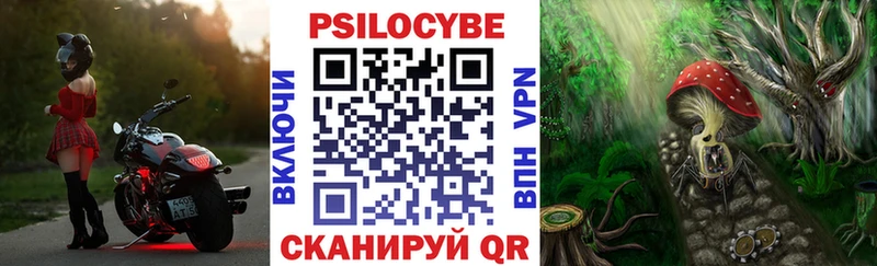Галлюциногенные грибы Psilocybe  кракен зеркало  Павловск 
